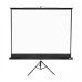 Apollo 96”x96” Tripod Projection Screen